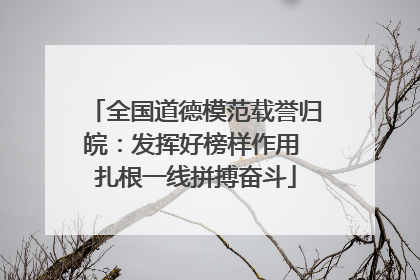 全国道德模范载誉归皖：发挥好榜样作用 扎根一线拼搏奋斗