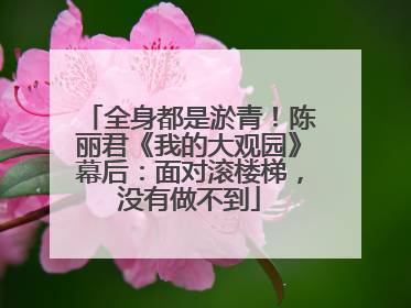 全身都是淤青！陈丽君《我的大观园》幕后：面对滚楼梯，没有做不到