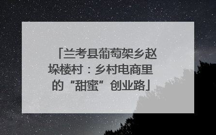 兰考县葡萄架乡赵垛楼村：乡村电商里的“甜蜜”创业路