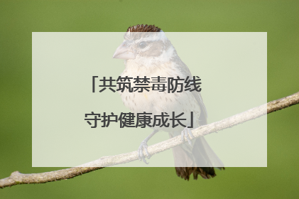 共筑禁毒防线 守护健康成长