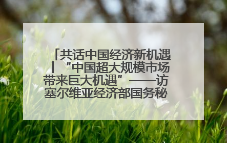 共话中国经济新机遇丨“中国超大规模市场带来巨大机遇”——访塞尔维亚经济部国务秘书尼科利奇
