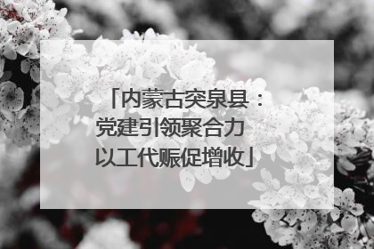内蒙古突泉县：党建引领聚合力 以工代赈促增收