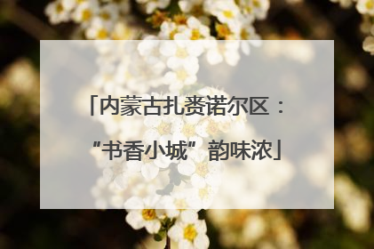 内蒙古扎赉诺尔区：“书香小城”韵味浓