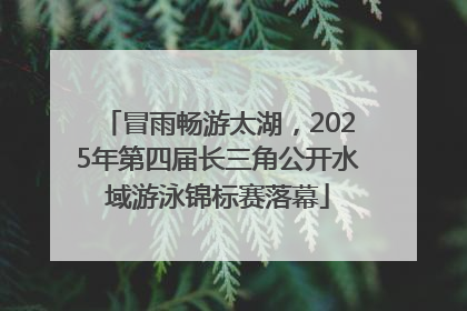 冒雨畅游太湖，2025年第四届长三角公开水域游泳锦标赛落幕