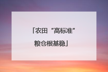 农田“高标准” 粮仓根基稳