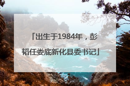 出生于1984年，彭韬任娄底新化县委书记