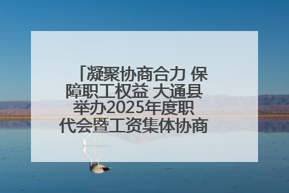 凝聚协商合力 保障职工权益 大通县举办2025年度职代会暨工资集体协商现场观摩交流活动