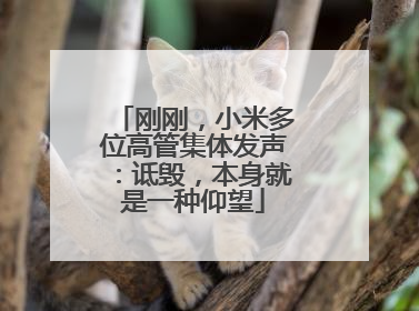 刚刚，小米多位高管集体发声：诋毁，本身就是一种仰望