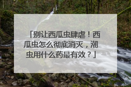 别让西瓜虫肆虐！西瓜虫怎么彻底消灭，潮虫用什么药最有效？