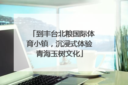 到丰台北粮国际体育小镇，沉浸式体验青海玉树文化