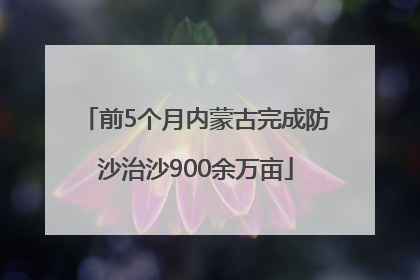 前5个月内蒙古完成防沙治沙900余万亩