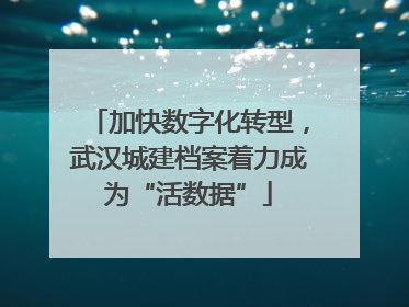 加快数字化转型，武汉城建档案着力成为“活数据”