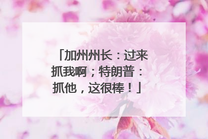 加州州长：过来抓我啊；特朗普：抓他，这很棒！
