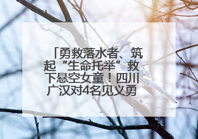 勇救落水者、筑起“生命托举”救下悬空女童！四川广汉对4名见义勇为人员进行表彰