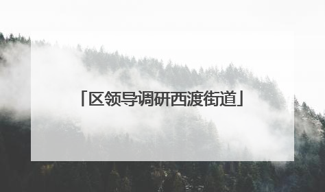 区领导调研西渡街道