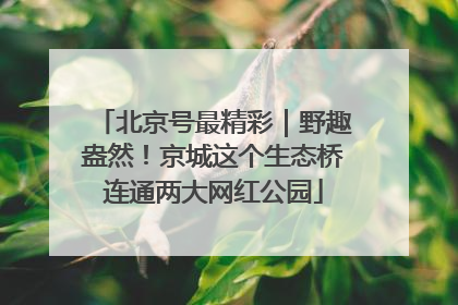 北京号最精彩｜野趣盎然！京城这个生态桥连通两大网红公园