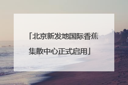北京新发地国际香蕉集散中心正式启用