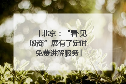 北京：“看·见殷商”展有了定时免费讲解服务