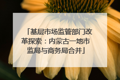 基层市场监管部门改革探索：内蒙古一地市监局与商务局合并