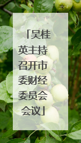 吴桂英主持召开市委财经委员会会议