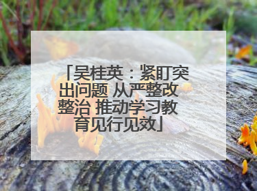 吴桂英：紧盯突出问题 从严整改整治 推动学习教育见行见效