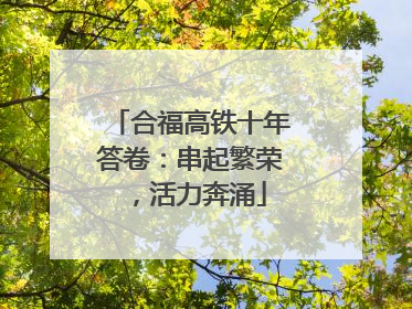 合福高铁十年答卷：串起繁荣，活力奔涌
