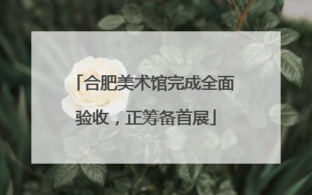 合肥美术馆完成全面验收，正筹备首展