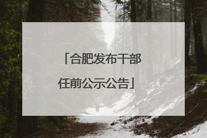 合肥发布干部任前公示公告