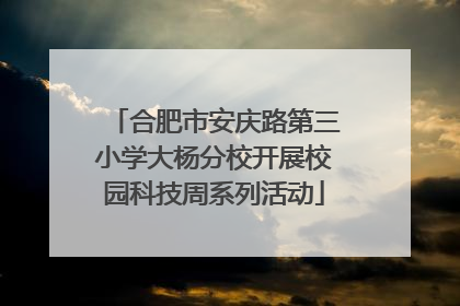 合肥市安庆路第三小学大杨分校开展校园科技周系列活动
