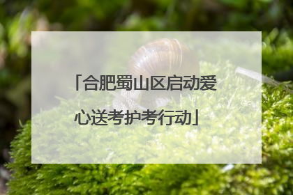 合肥蜀山区启动爱心送考护考行动