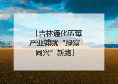 吉林通化蓝莓产业铺就“绿富同兴”新路