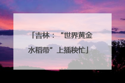 吉林：“世界黄金水稻带”上插秧忙