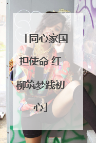 同心家国担使命 红柳筑梦践初心