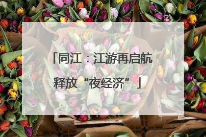 同江：江游再启航 释放“夜经济”