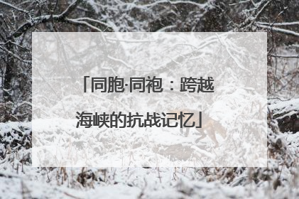 同胞·同袍:跨越海峡的抗战记忆