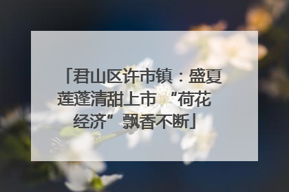 君山区许市镇：盛夏莲蓬清甜上市 “荷花经济”飘香不断