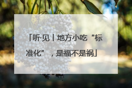 听·见丨地方小吃“标准化”，是福不是祸