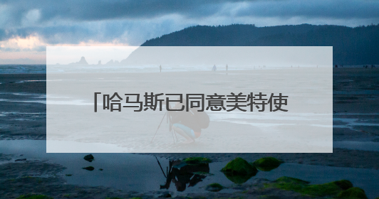 哈马斯已同意美特使提出的加沙停火方案