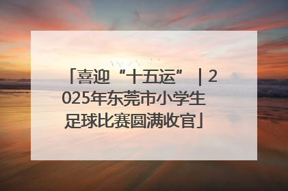 喜迎“十五运”｜2025年东莞市小学生足球比赛圆满收官