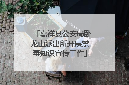 嘉祥县公安局卧龙山派出所开展禁毒知识宣传工作