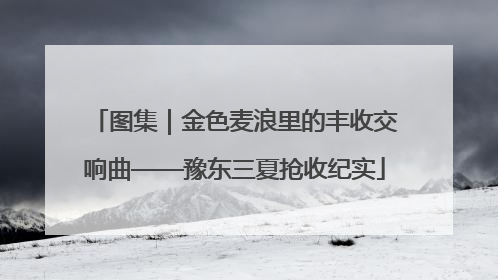 图集｜金色麦浪里的丰收交响曲——豫东三夏抢收纪实