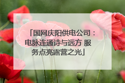 国网庆阳供电公司：电脉连通诗与远方 服务点亮露营之光