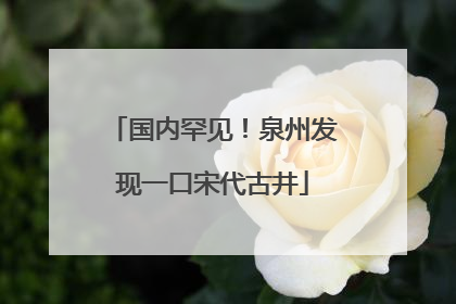 国内罕见！泉州发现一口宋代古井