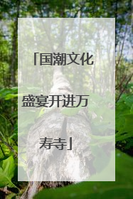 国潮文化盛宴开进万寿寺