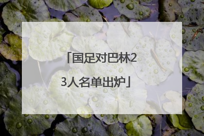 国足对巴林23人名单出炉