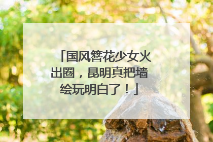 国风簪花少女火出圈，昆明真把墙绘玩明白了！