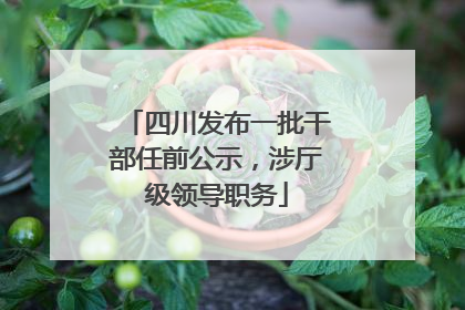 四川发布一批干部任前公示，涉厅级领导职务