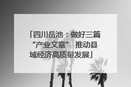 四川岳池：做好三篇“产业文章” 推动县域经济高质量发展