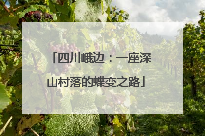 四川峨边：一座深山村落的蝶变之路