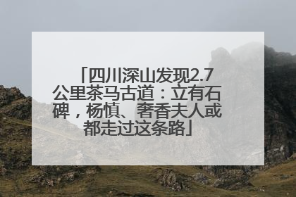 四川深山发现2.7公里茶马古道：立有石碑，杨慎、奢香夫人或都走过这条路